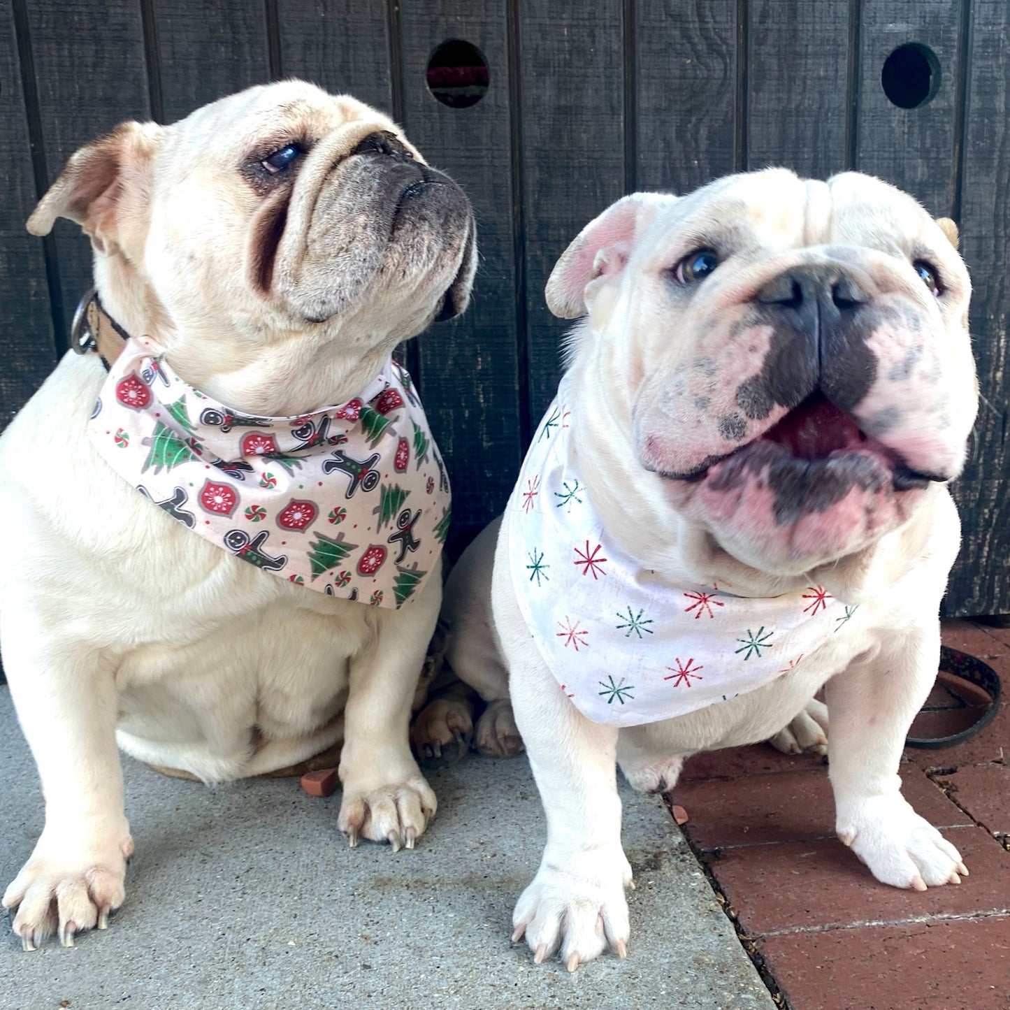 Christmas, Gingerbread Dreams Reversible Bandana