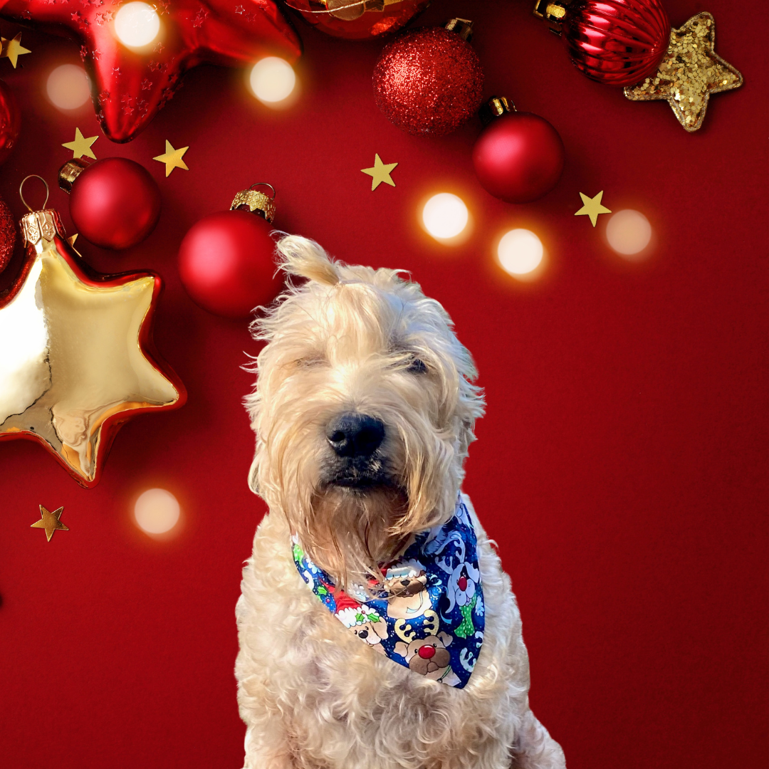 Christmas Santa Paws, Reversible Bandana