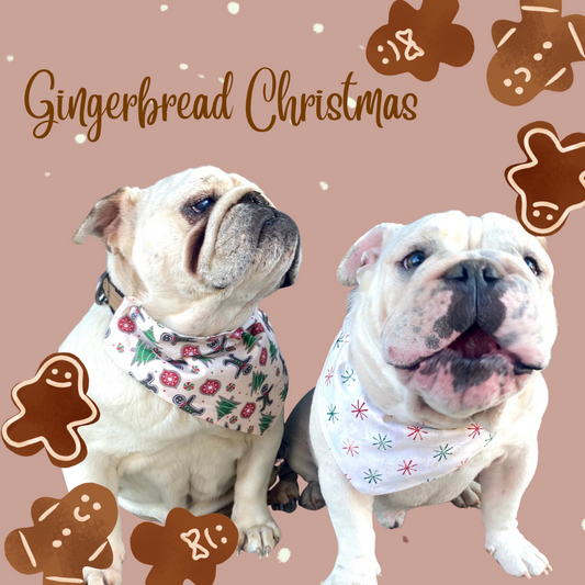 Christmas, Gingerbread Dreams Reversible Bandana