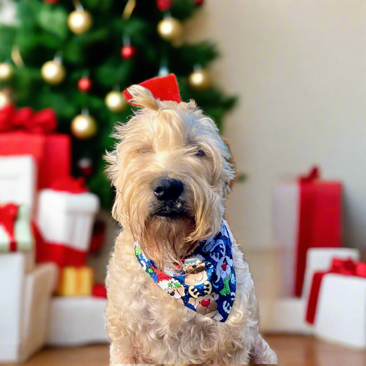 Christmas Santa Paws, Reversible Bandana