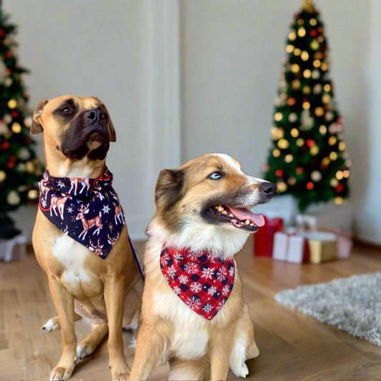 Christmas Santa's Reindeer and Snowflakes, Reversible, Bandana