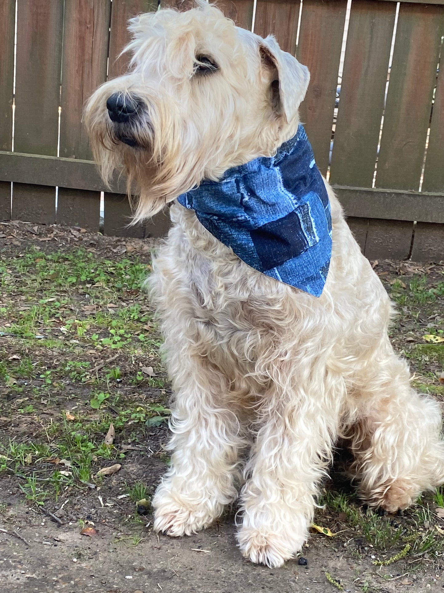 Whimsy's Farm Fresh, Reversible Bandana