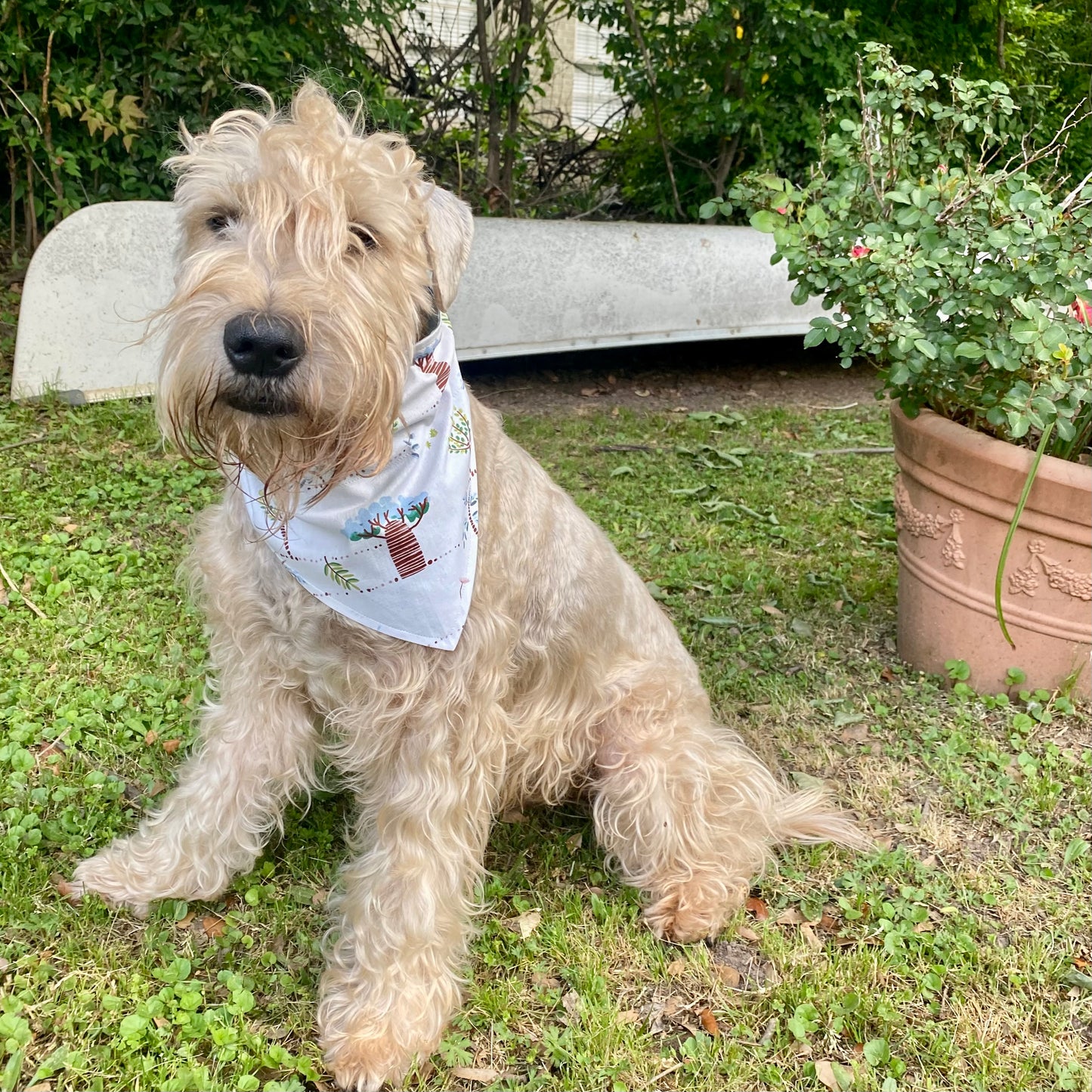 Whimsy's Nature's Charm, Reversible Bandana