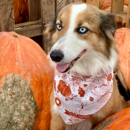 Fall Thankful Harvest, Reversible Bandana