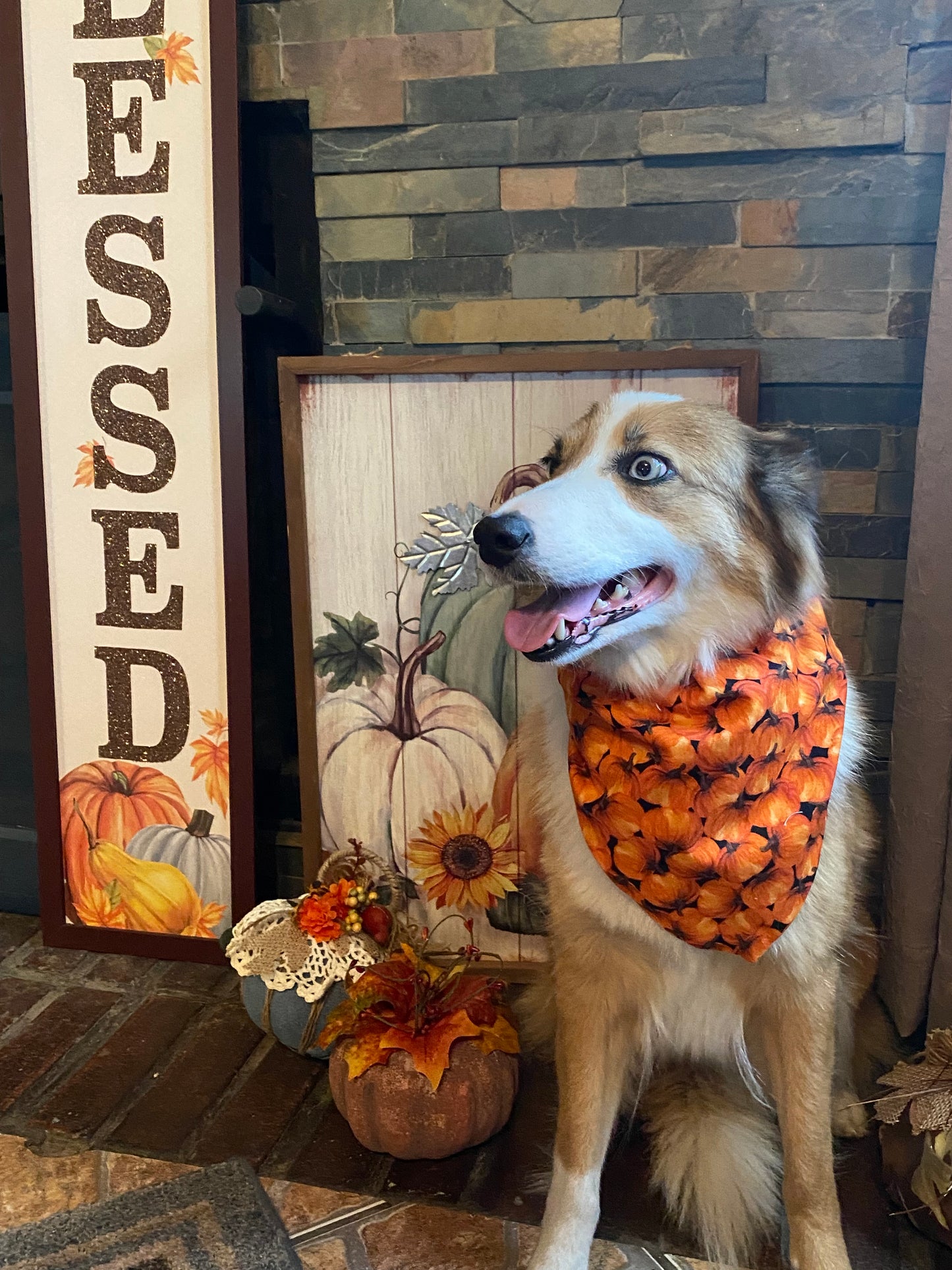 Fall Farm Fresh Pumpkins, Reversible Bandana